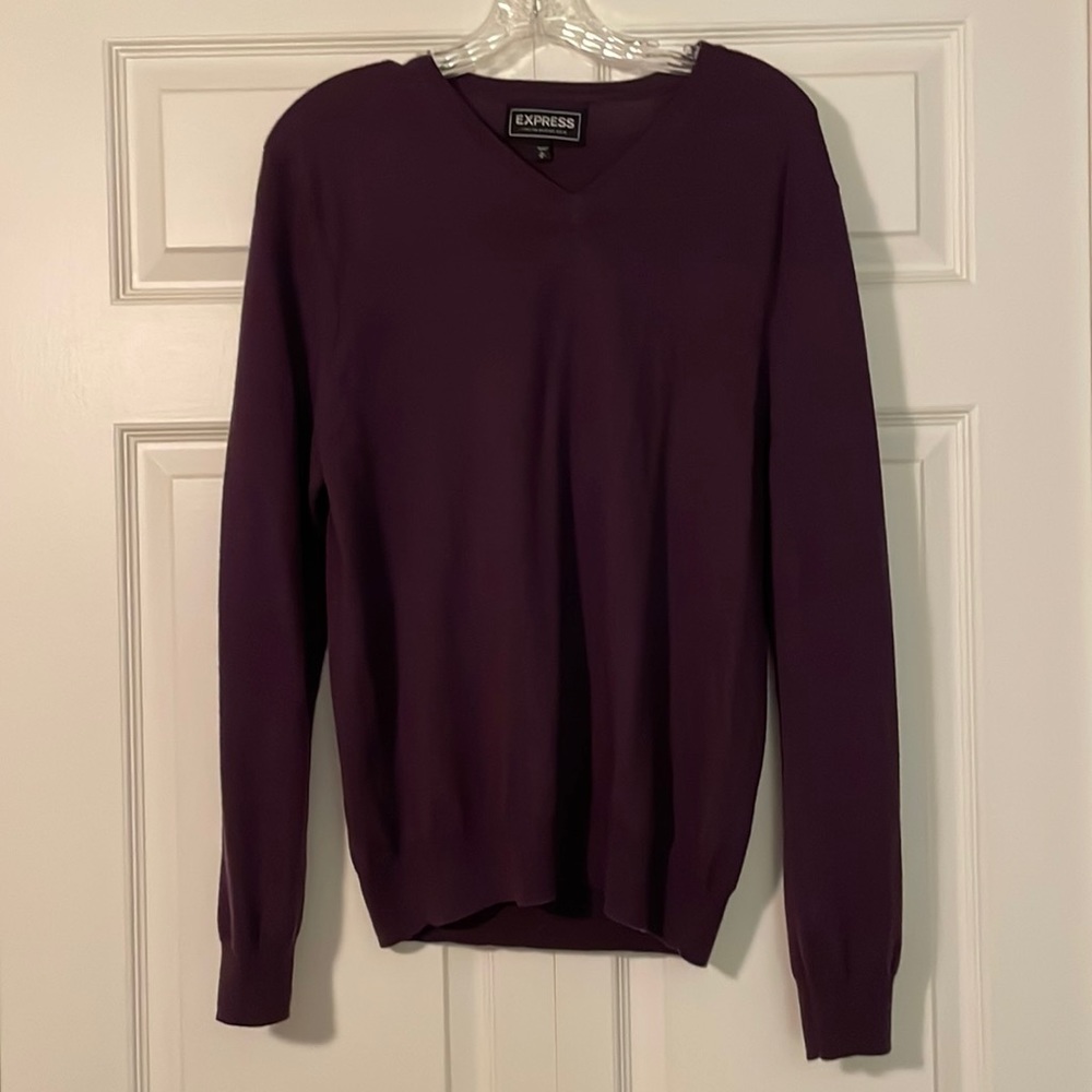 Express Men’s Medium Plum Colored Sweater